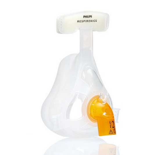 AF421 Full Face Mask